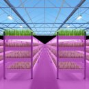 종구농장 이미지