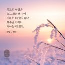 온누리영광 이미지