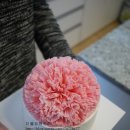 더블유 앤 제이 네이버블로그