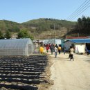 점말농장 이미지