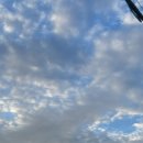 종로중앙약국 이미지