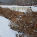 종교단체 자연장지 이미지