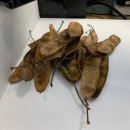 (주)씨앗 이미지