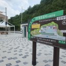 일로 이미지
