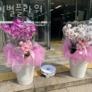 아기별플라워 이미지