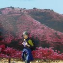 고려산 이미지