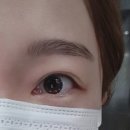 샌브로우 네이버블로그