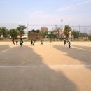 토레스트 이미지