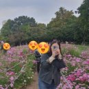 270-3549 | #찰푸찐팬 231022 찰리푸스 3번째 내한 콘서트 막공 셋째날 후기 올림픽공원 KSPO DOME 12구역 시야