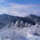 대전좋은산악회 제 87차 정기산행(전북 무주 덕유산) 이미지