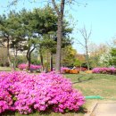 일동라스베가스 공원 이미지