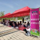 삼월