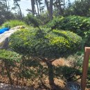 곰섬올레 이미지