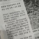 중문동-17 이미지