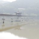 전국노래자랑 영양군편 이미지