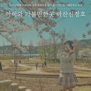 아산 신정호 지방정원 벚꽃 생태공원 토끼 염소 아이와 가볼만한곳 추천