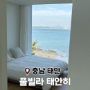 태안히 | 태안 풀빌라 숙소 추천 태안히 가족여행 찐만족