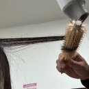 영환농장 | 땅이얼었으니펭귄처럼걸어라
