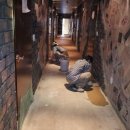 호텔아이 이미지