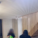 포레스트 173 이미지