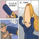 샤프카 티스토리