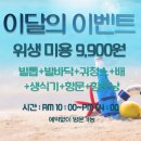 강남애니펫샵 이미지