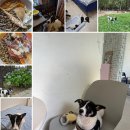 큐동물병원 이미지