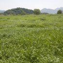 성서제방도로 이미지