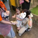 최고짐 서창점 | 인천 서창 실내동물원 쥬벅스앤쥬니멀 아이와함께 가볼만한 곳 특별한 체험