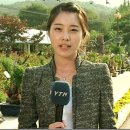 (주)위너스코리아