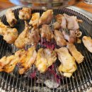 닭찌 이미지