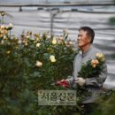 김원일농장 이미지