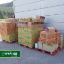 티에치식품