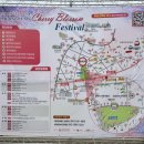 청풍중학교 | 제천 청풍호 벚꽃축제 후기 (주차부터 포토존까지 완벽 정리)