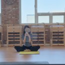 더 머슬짐 에스 | [운동] 부산 명지 에스에프짐 명지점 요가 체험 후기