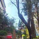 강남원공인중개사사무소 이미지