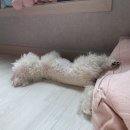 크로스핏 한옥 네이버블로그