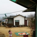 하우스유 Daum카페