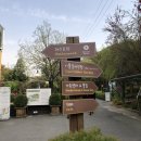 유니스의정원 이미지