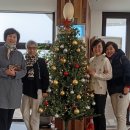 피노펠리즈 이미지