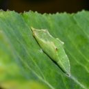 그림책 원예테라피 이미지