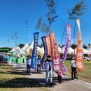 청정 | 봄 제주 축제 제29회 한라산 청정 고사리축제 후기 제주도 고사리 채취