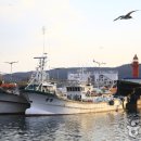 기장수산물체험홍보센터 이미지