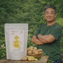 좋은차만들기공업사 | 생강절임하는법 국내산 생강차 효능 만드는법 만들기 목 감기 몸살에 좋은 차 카페인 프리 후기