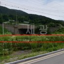 세광 부동산중개사무소 이미지