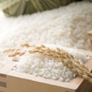 생활자원실습장 이미지