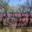 구진벌공원 이미지