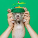 내일봬요 이미지