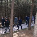 거창-거창-4 이미지