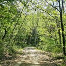 그린팜영농조합법인 이미지